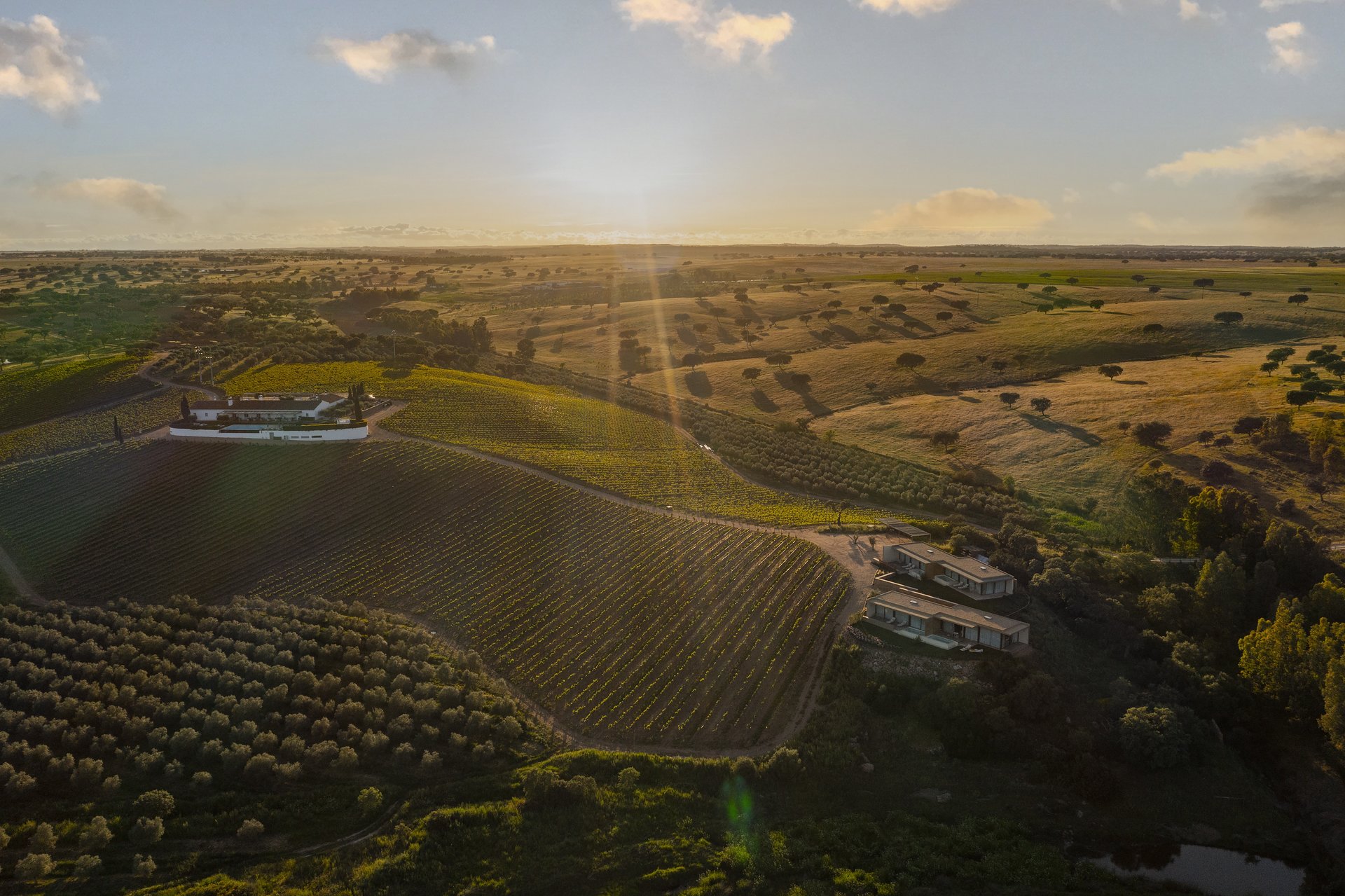 Herdade da Malhadinha Nova